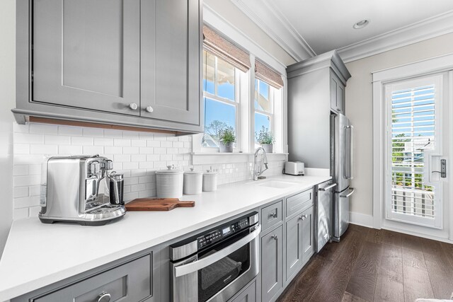 667 E Royal Fern Way, Santa Rosa Beach, FL 32459 - kitchen with gray cabinetry, a sink, crown molding, and stainless steel appliances
