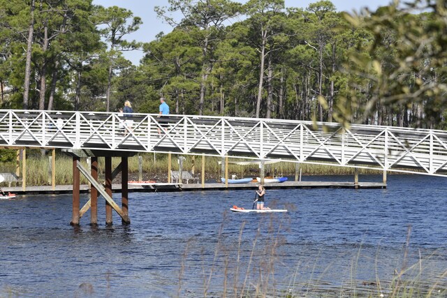 667 E Royal Fern Way, Santa Rosa Beach, FL 32459 - water view with a dock