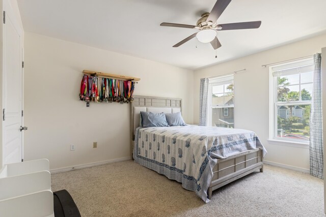 107 Hackberry Way, Santa Rosa Beach, FL 32459