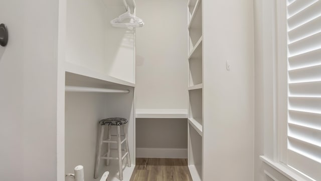 51 W Okeechobee, Santa Rosa Beach, FL 32459 - spacious closet with wood finished floors
