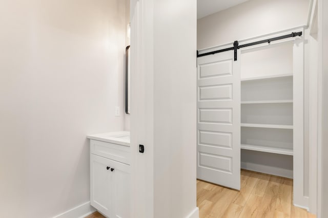 335 J Hunters Way S, Freeport, FL 32439 - bathroom featuring wood finished floors and vanity
