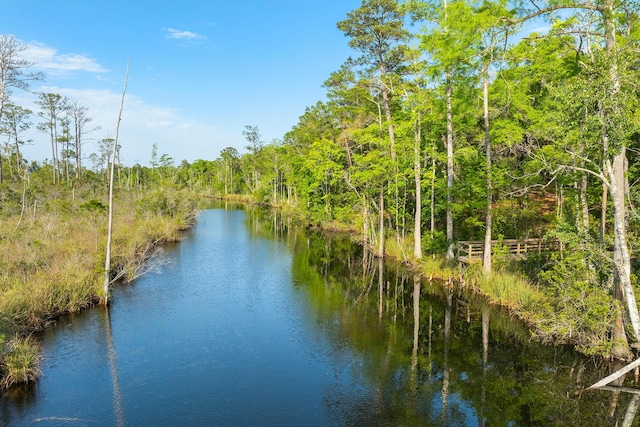 335 J Hunters Way S, Freeport, FL 32439 - water view with a forest