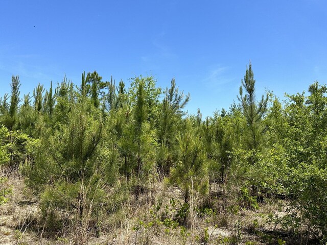 92/-AC Frost Ln, Laurel Hill, FL 32567