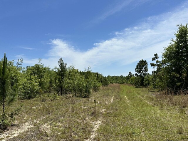 92/-AC Frost Ln, Laurel Hill, FL 32567