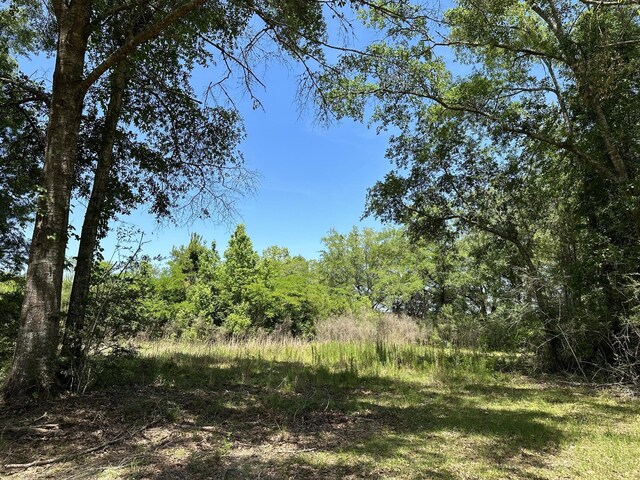 92/-AC Frost Ln, Laurel Hill, FL 32567