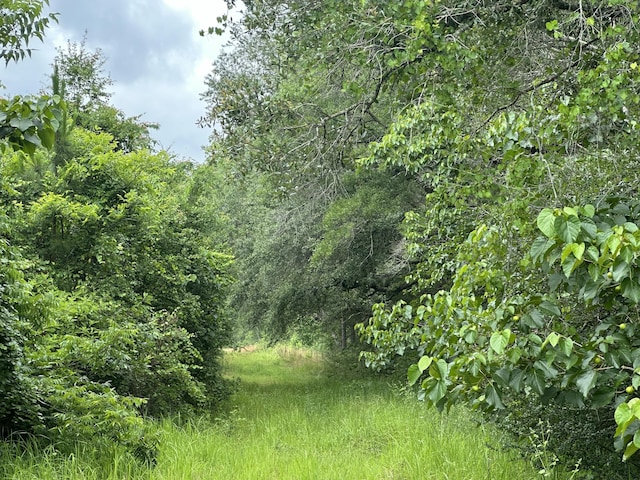 92/-AC Frost Ln, Laurel Hill, FL 32567