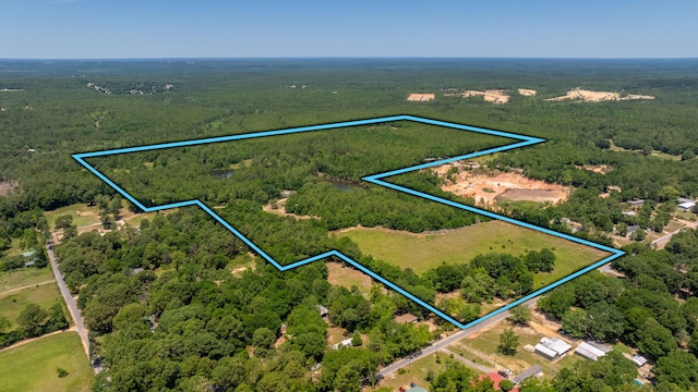 6176 Barnes Rd, Crestview, FL 32536 - photo 1