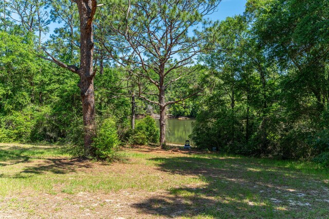6176 Barnes Rd, Crestview, FL 32536 - photo 41