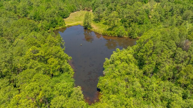 6176 Barnes Rd, Crestview, FL 32536 - photo 43