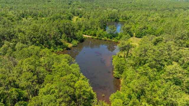 6176 Barnes Rd, Crestview, FL 32536 - photo 45
