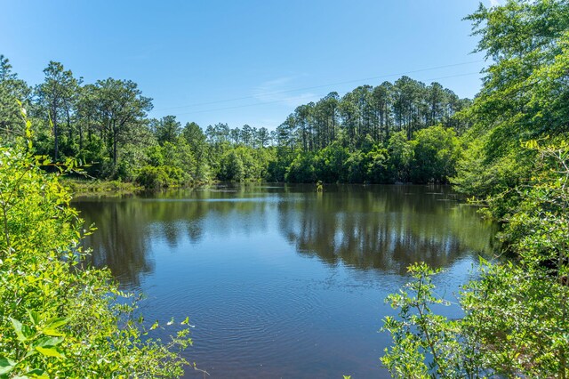 6176 Barnes Rd, Crestview, FL 32536 - photo 46