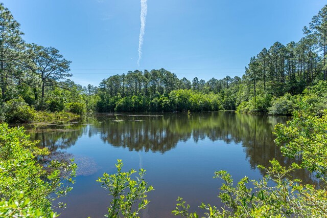 6176 Barnes Rd, Crestview, FL 32536 - photo 47