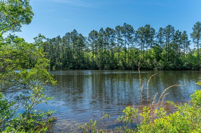 6176 Barnes Rd, Crestview, FL 32536 - photo 48
