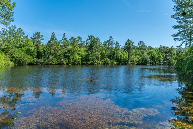 6176 Barnes Rd, Crestview, FL 32536 - photo 50