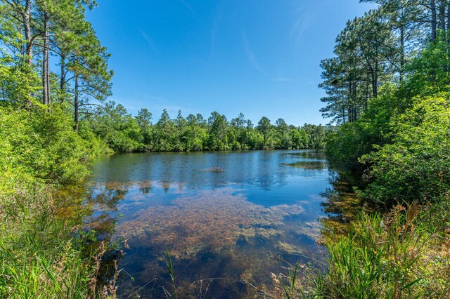 6176 Barnes Rd, Crestview, FL 32536 - photo 51
