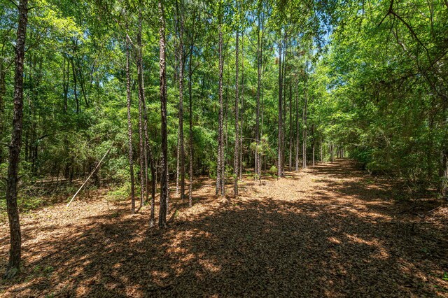6176 Barnes Rd, Crestview, FL 32536 - photo 111