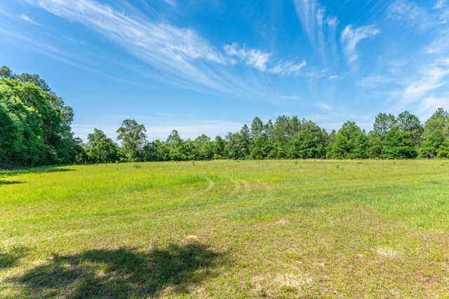 6176 Barnes Rd, Crestview, FL 32536 - photo 113