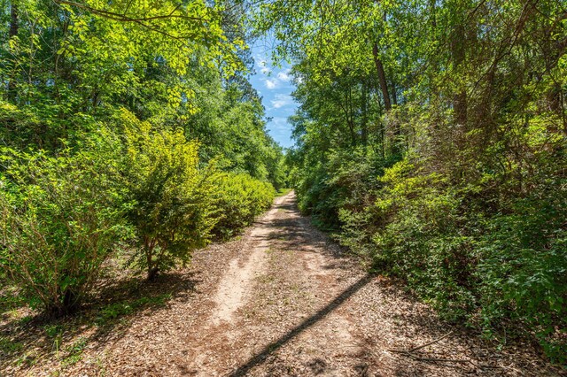 6176 Barnes Rd, Crestview, FL 32536 - photo 114