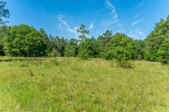 6176 Barnes Rd, Crestview, FL 32536 - photo 116