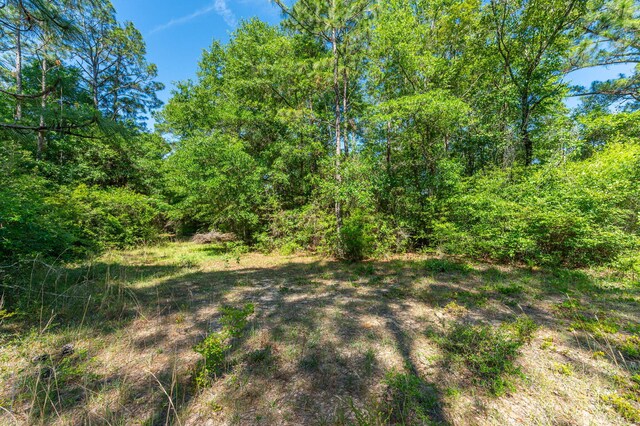 6176 Barnes Rd, Crestview, FL 32536 - photo 117