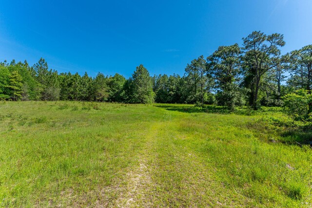 6176 Barnes Rd, Crestview, FL 32536 - photo 118