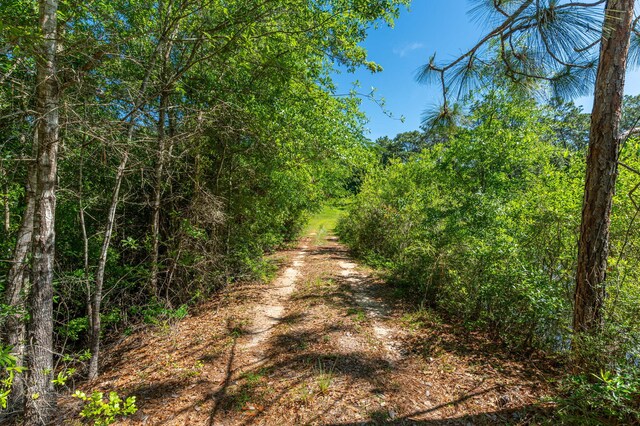6176 Barnes Rd, Crestview, FL 32536 - photo 119