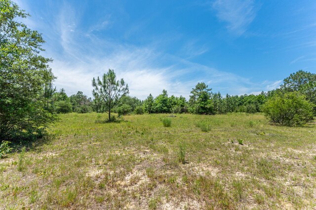6176 Barnes Rd, Crestview, FL 32536 - photo 120
