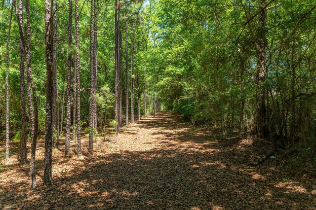 6176 Barnes Rd, Crestview, FL 32536 - photo 121