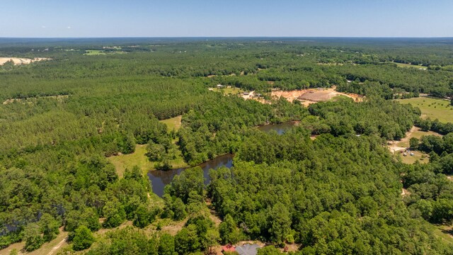 6176 Barnes Rd, Crestview, FL 32536 - photo 123