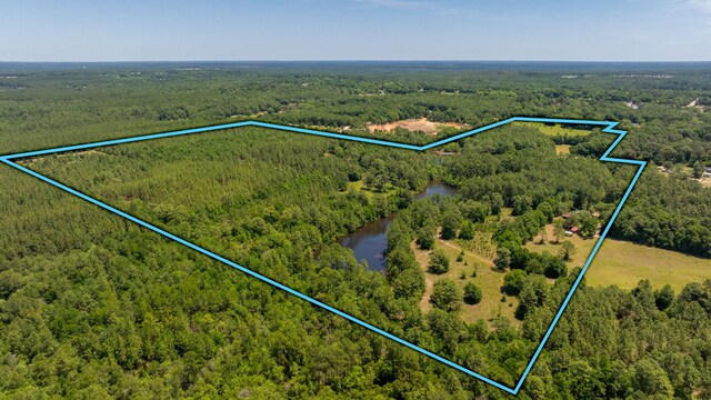 6176 Barnes Rd, Crestview, FL 32536 - photo 124
