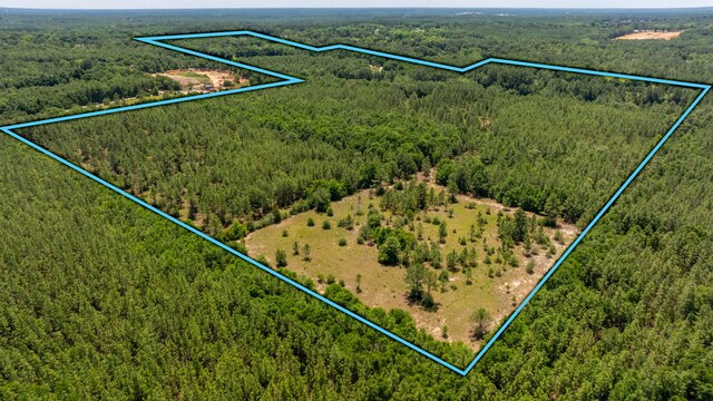 6176 Barnes Rd, Crestview, FL 32536 - photo 125