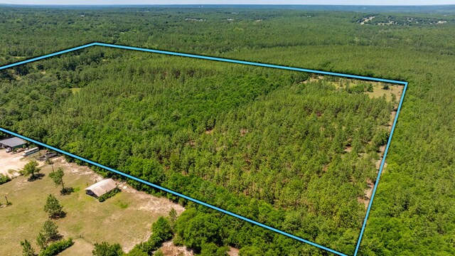 6176 Barnes Rd, Crestview, FL 32536 - photo 126