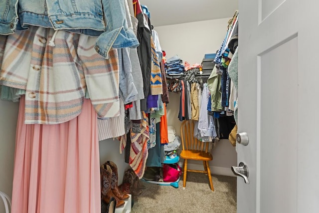 809 Whispering Creek Ave, Freeport, FL 32439 - spacious closet featuring carpet flooring