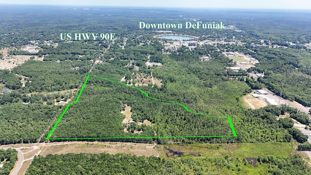 841 N 1st St, Defuniak Springs, FL 32433 - aerial view of property and surrounding area featuring a heavily wooded area and property boundaries highlighted