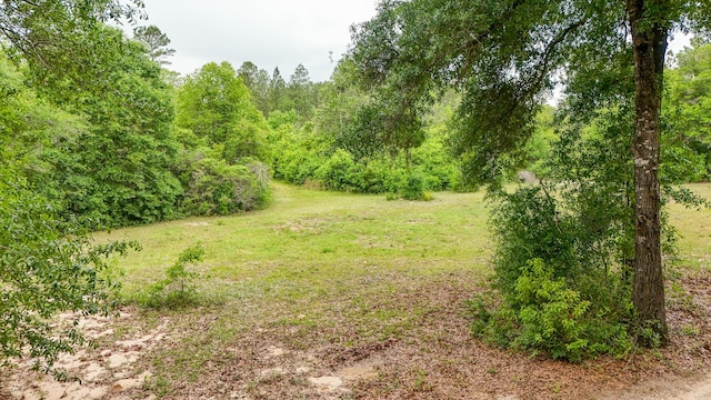 841 N 1st St, Defuniak Springs, FL 32433 - view of grassy yard featuring a forest view