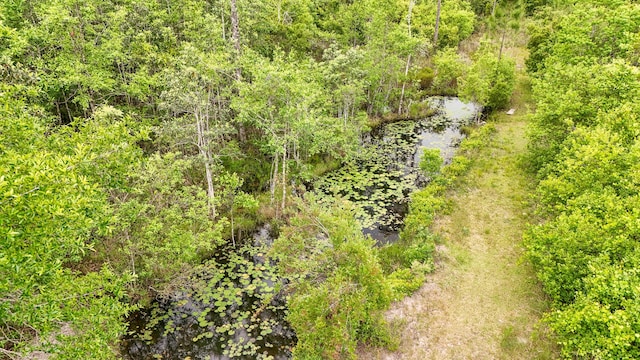 841 N 1st St, Defuniak Springs, FL 32433 - drone / aerial view
