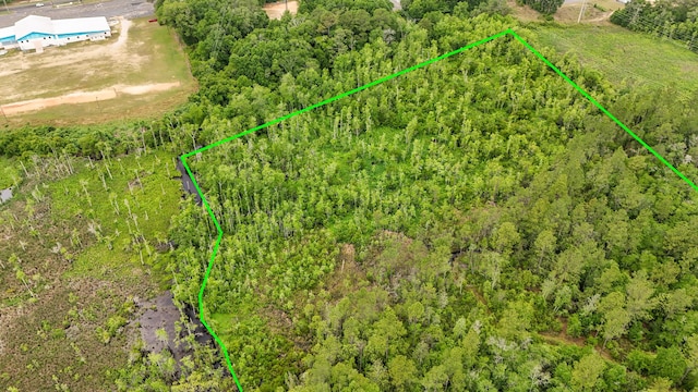 841 N 1st St, Defuniak Springs, FL 32433 - view from above of property featuring property boundaries highlighted