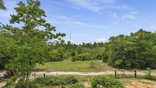 841 N 1st St, Defuniak Springs, FL 32433 - view of yard featuring a view of trees