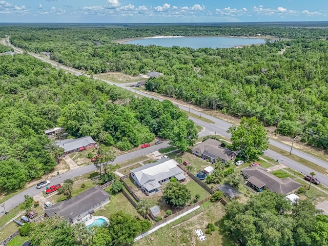 3892 Belmar Pl, Chipley, FL 32428 - bird's eye view of a forest and a nearby body of water