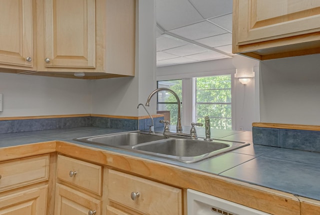 3892 Belmar Pl, Chipley, FL 32428 - kitchen featuring light brown cabinetry and a sink