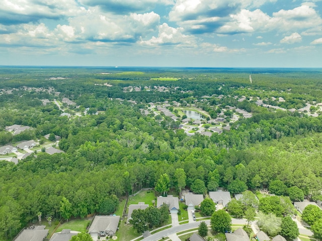 53 Concert Ct, Freeport, FL 32439 - aerial perspective of suburban area with a forest