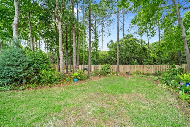 53 Concert Ct, Freeport, FL 32439 - view of yard