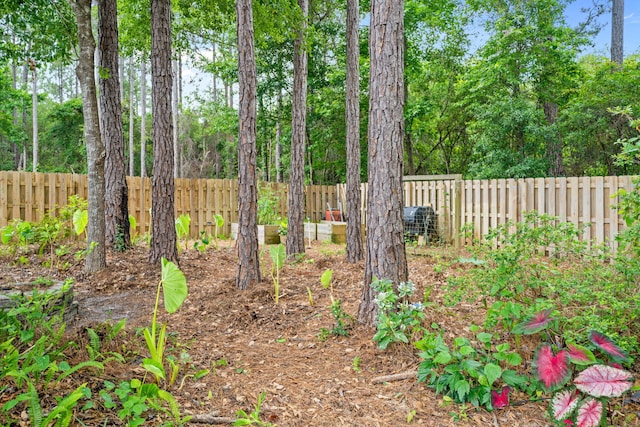 53 Concert Ct, Freeport, FL 32439 - view of fenced backyard