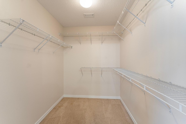 4555 Wolf Track Rdg Unit 6.44Ac, Crestview, FL 32539 - walk in closet featuring light carpet