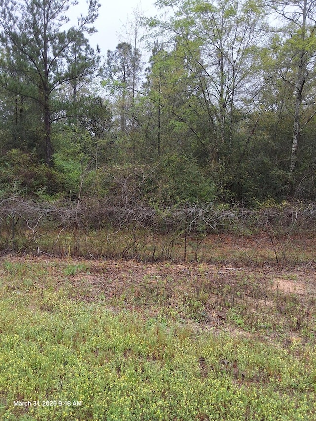 4555 Wolf Track Rdg Unit 6.44Ac, Crestview, FL 32539 - view of nature