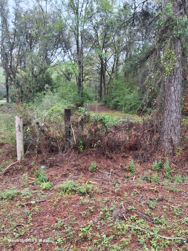 4555 Wolf Track Rdg Unit 6.44Ac, Crestview, FL 32539 - view of nature
