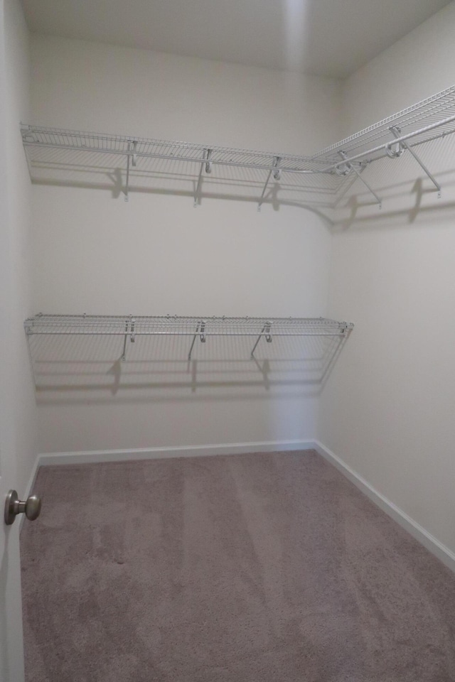 106 E Sky Way, Freeport, FL 32439 - walk in closet with carpet