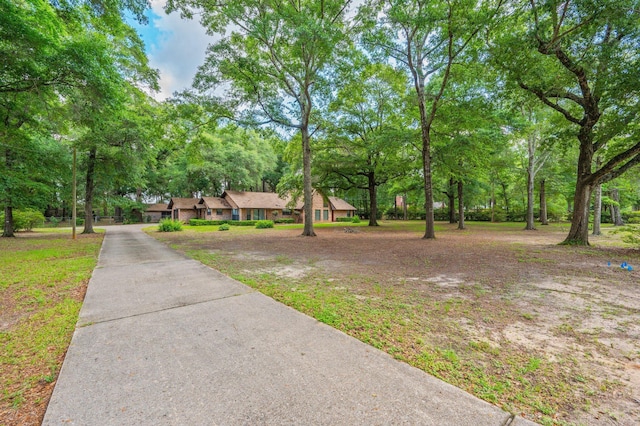 1131 Stanley Ln, Baker, FL 32531 - view of yard featuring driveway and view of scattered trees