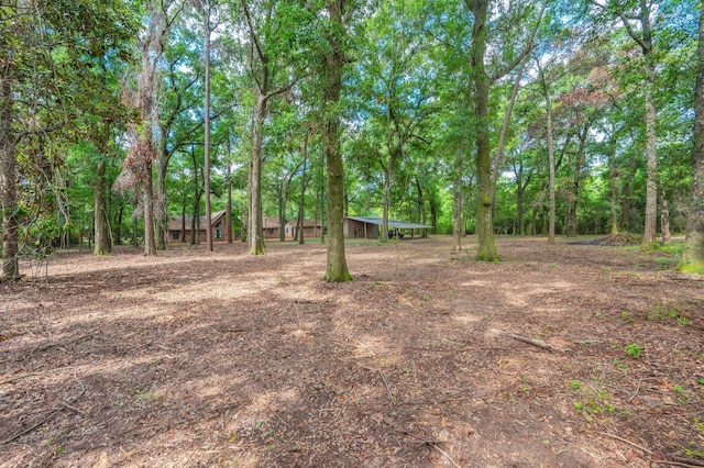 1131 Stanley Ln, Baker, FL 32531 - view of yard