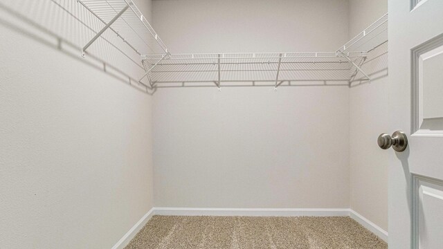 6539 Burleson Blvd, Crestview, FL 32539 - photo 22